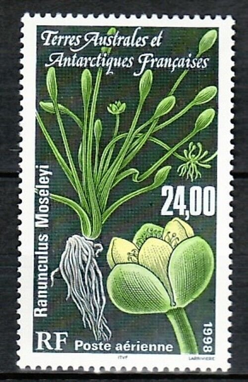 French Southern & Antarctic Territory Sc C148 NH FLOWER - 1998 