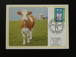 domestic animal cow dairy world day of milk maximum card Austria 1982