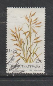 SC83 Bophuthatswana 1981 Grasses used