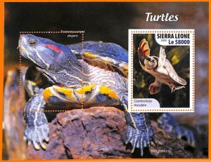 A6805 - SIERRA LEONE, Error, 2020, MISSPERF SOUVENIR SHEET: Turtles, Marine Life