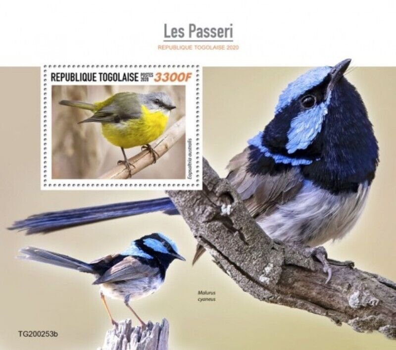 Togo - 2020 Eastern Yellow Robin Songbirds - Stamp Souvenir Sheet - TG200253b