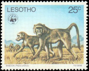 Lesotho #228-232, Complete Set(5), 1977, World Wildlife Fund, Animals, Never ...