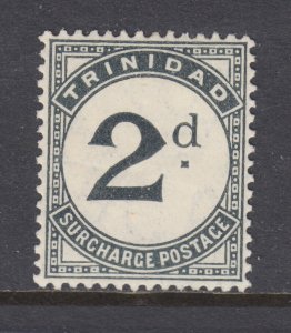 Trinidad Sc J11 MLH. 1906 2p black Postage Due, fresh, bright, LH, well centered