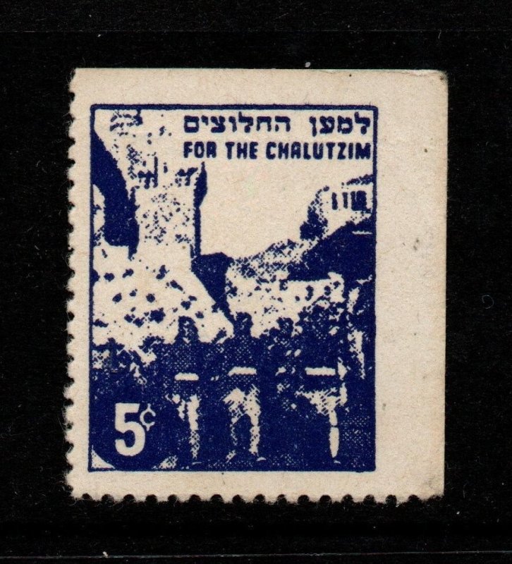 Israel 1940s Chalutzim Charity Label No Gum Right Corner - S41904