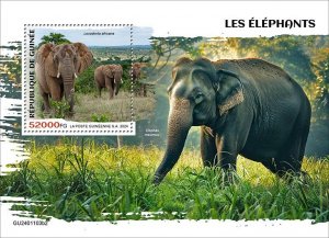 GUINEA - 2024 - Elephants - Perf Souv Sheet - Mint Never Hinged