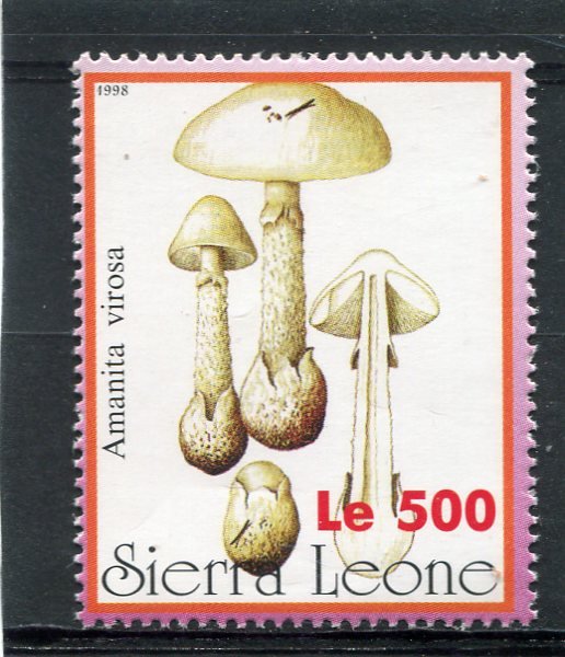 Sierra Leone 1998 MUSHROOMS FUNGI 1 value Perforated Mint (NH)