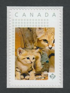 SAND CAT and KITTEN = Picture Postage  Stamp MNHCanada 2014 [p11sn15]