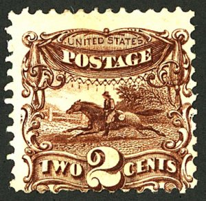 U.S. #113 MINT NG