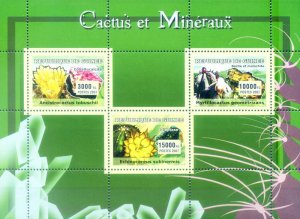 2007 Minerals and Cacti.