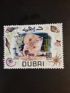 +Dubai #106             CTO