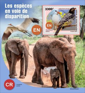 NIGER - 2022 - Endangered Species - Perf Souv Sheet #1 - Mint Never Hinged