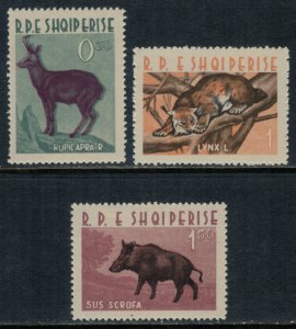 Albania #639-41*  CV $4.45  Animals