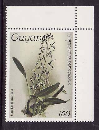 Guyana-Sc#1125a- id9-unused NH 150c-Flowers-Orchids-wmk Lotus Bud Multiple-1985-