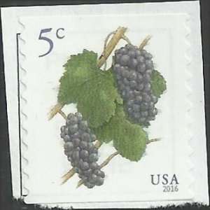 # 5038 Used Grapes