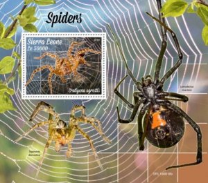 Sierra Leone - 2019 Spiders on Stamps - Stamp Souvenir Sheet - SRL190818b