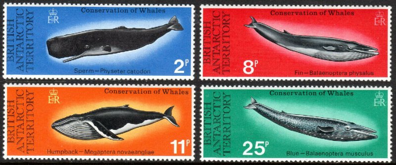 British Antarctic Territory 64-67, MNH. Whales. Sperm, Fin, Humpback, Blue, 1977