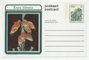 Postal stationery South Africa 1977 Flower - Plant - Erica