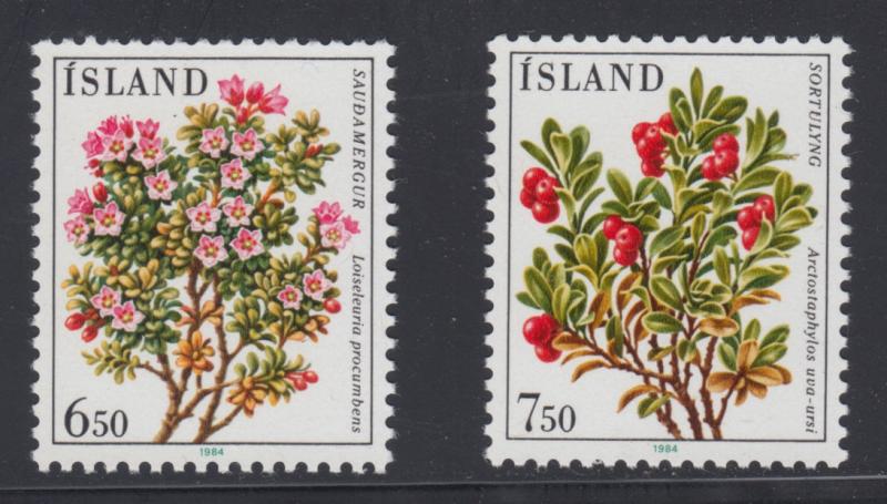 Iceland    #593-94      mnh     cat $1.10
