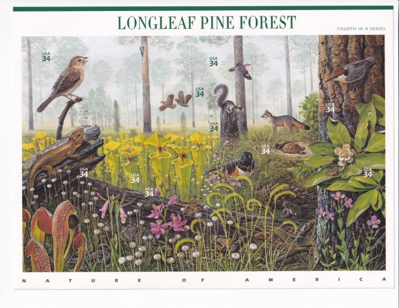 U.S.: Sc #3611, Longleaf Pine Forest 34c, Sheet of 10, MNH (3611)