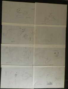 ST Kilda wild animals of Scotland. 14 original pencil sketches by the artist eac