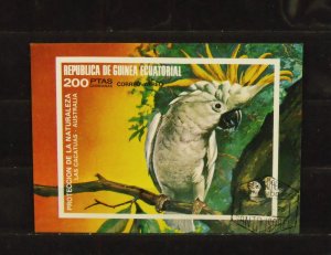 15222   EQUATORIAL GUINEA   MNH # 1974      Souvenir Sheet        CV$ 4.00