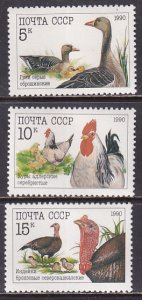 Russia 1990 Sc 5909-11 Various Native Poultry Rooster Hen Fauna Stamp MNH DG