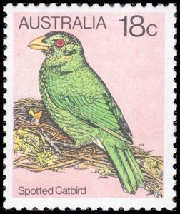 Australia 1980 Sc 768 Birds Catbird 