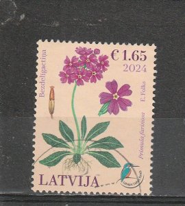 Latvia  Scott#  1161  Used  (2024 Primula Farinosa)