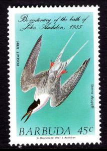 Barbuda 701 Bird MNH VF