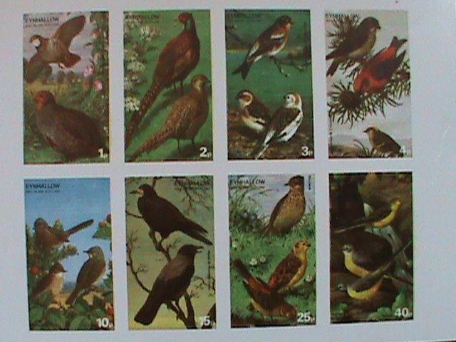 EYNHALLOW SCOTLAND STAMP -RARE BIRDS -IMPERF- MNH - MINI SHEET  NO GUM AS ISSUED