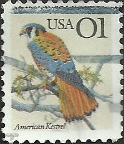 # 2476 USED KESTREL    