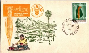 Ceylon, Worldwide First Day Cover, Food