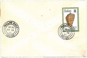 28705  - BELIZE - Postal History - COVER from  MULLINS RIVER 1981 SHELLS