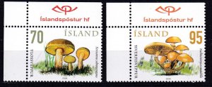 Iceland, Mushrooms MNH / 2006