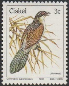 South Africa-Ciskei #7 1981 3c White-browed Coucal MNH.