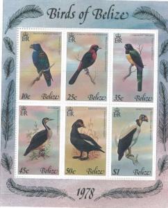 BELIZE Souvenir Sheet #403a MNH - BIRDS OF BELIZE 1978 - FB13