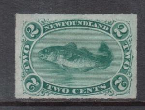 Newfoundland #38 VF Mint