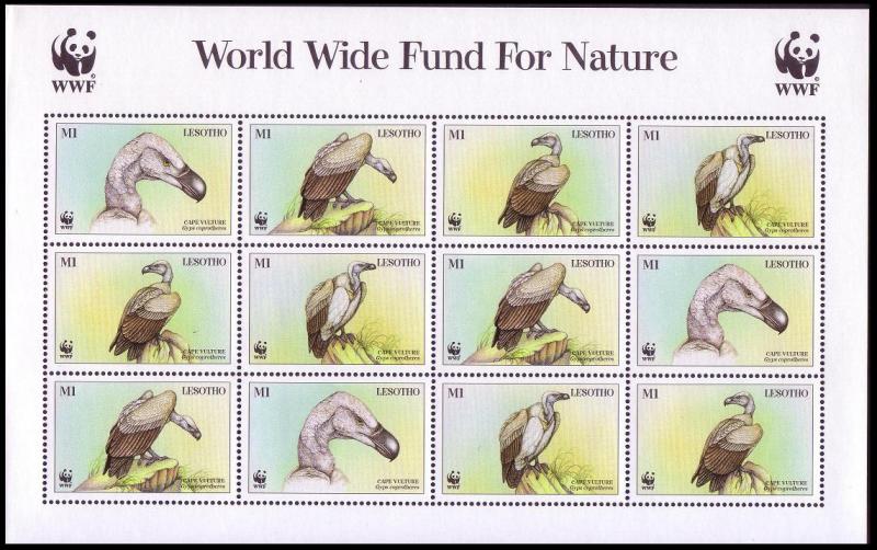 Lesotho WWF Cape Vulture Birds Sheetlet of 3 sets SG#1378-1381 SC#1091 a-d