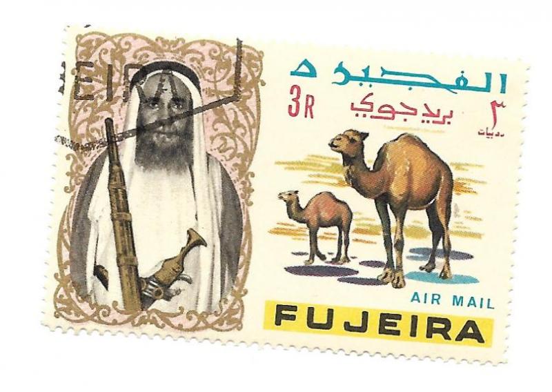 Fujeira 1965 - Camelus dromedarius *
