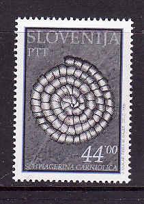 Slovenia-Sc#172-unused NH set-Schwagerina Carniolica-1993-