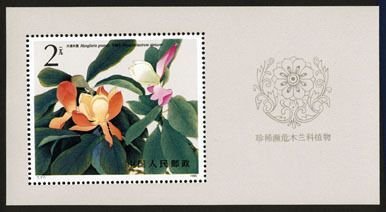 1986 CHINA T111M RARE MAGNOLIA LILIFLORA MS