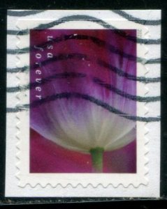 5781 US (63c) Tulip Blossoms - purple w/white SA bklt, used on paper