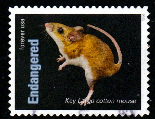 New-2023 - (66c) - Endangered Cotton Mouse - 8 of 20 - Used Off Paper