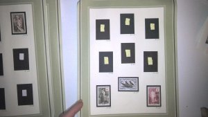 FRANCE COLLECTION MH