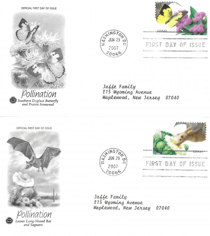 2007 FDC, #4153-4156, 41c Pollination, PCS (4)