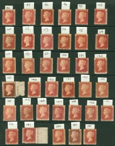 SG 43 1d rose-red selection. 61 different mint plate numbers on 2 stockcards...