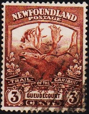 Newfoundland. 1919 3c  S.G.132 Fine Used