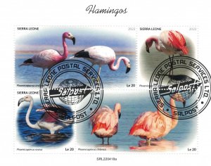 SIERRA LEONE 2022 - Flamingos / minisheet