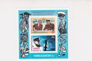 Turks & Caicos Is. Sir Winston Churchill Centenary MNH Mini Stamps Sheet Rf27119