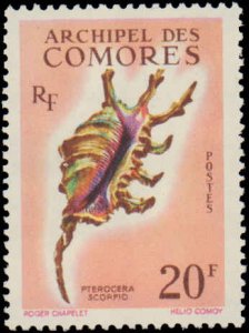 Comoro Islands #52, Incomplete Set, 1962, Seashells, Never Hinged